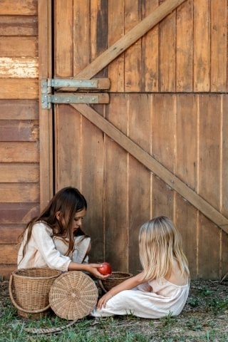 LITTLE APPLE BASKET
