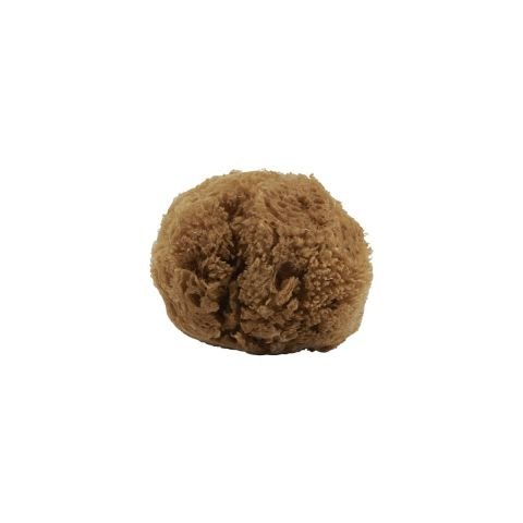 SPONGE, MERAKI MINI